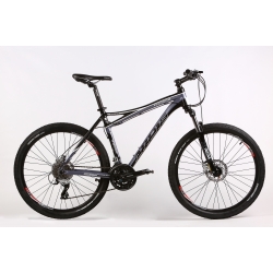 Bicycle ARDIS 26 MTB AL DYNAMIC-2