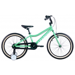 ARDIS 20 BMX AL "ACADEMY"